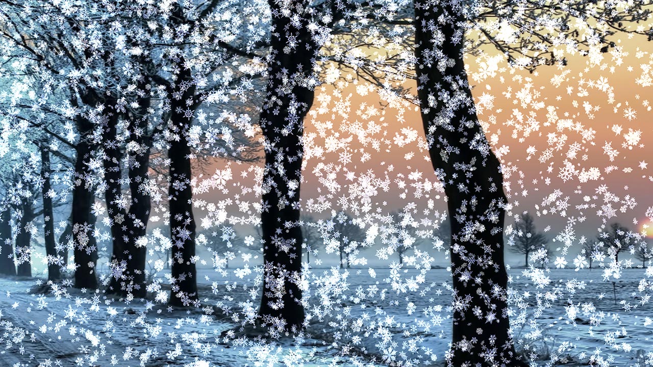 Winter Snow Wallpaper Animation Jpg