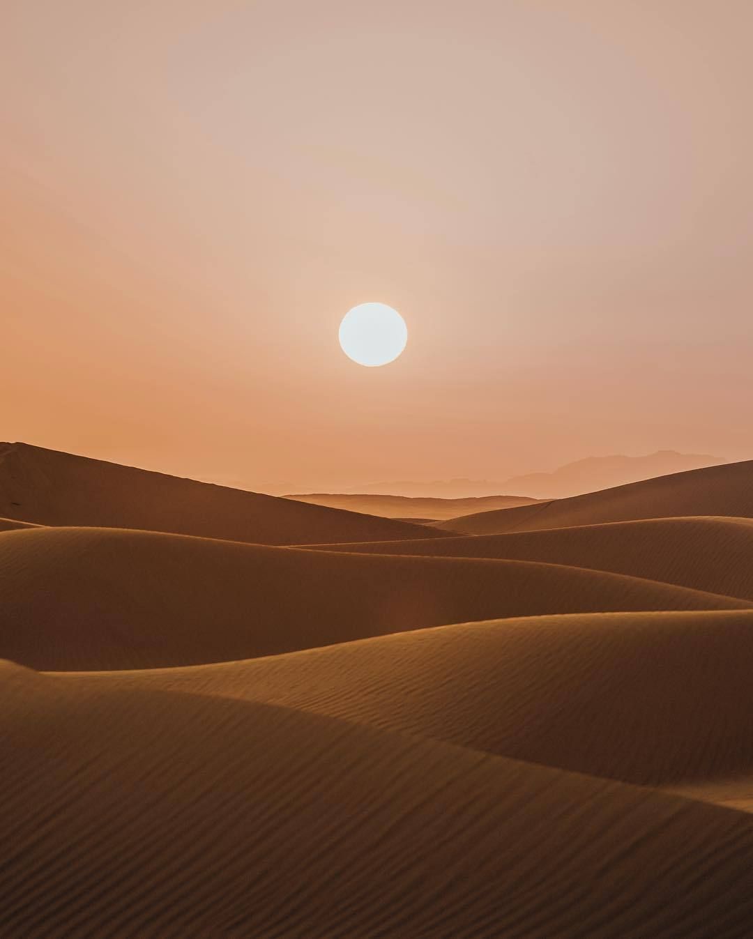Fresh Brewed Life Wallpaper