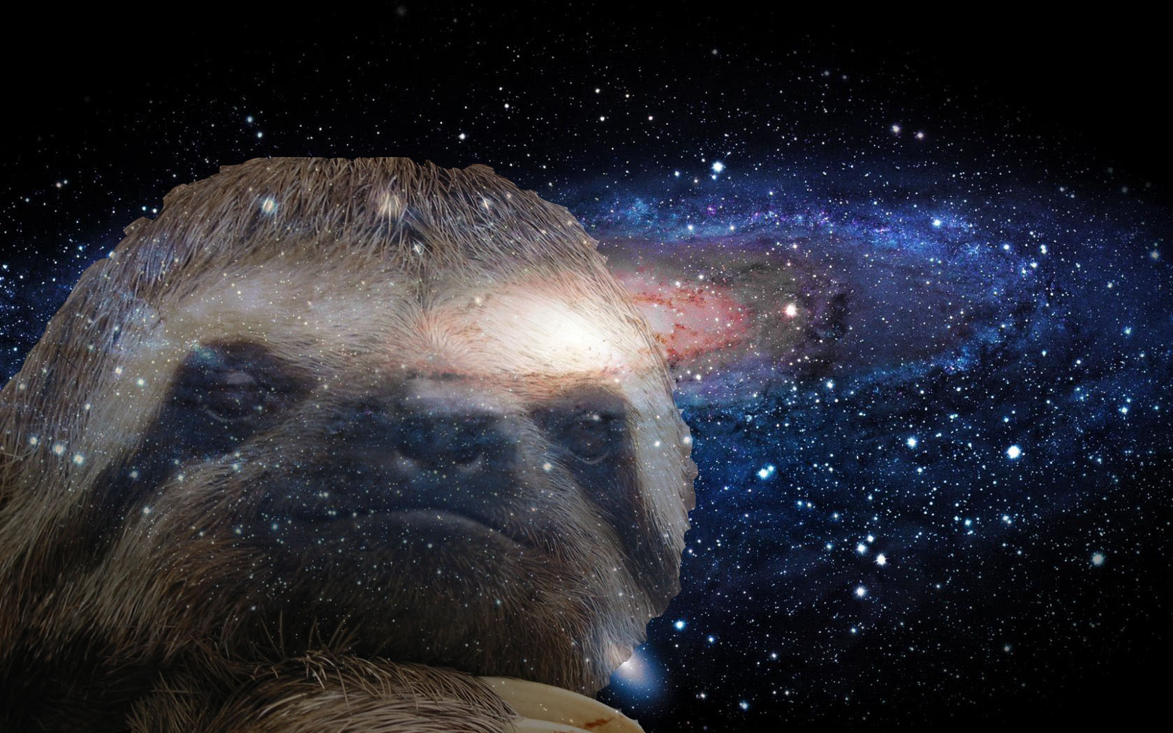 Slothstronaut Wallpaper