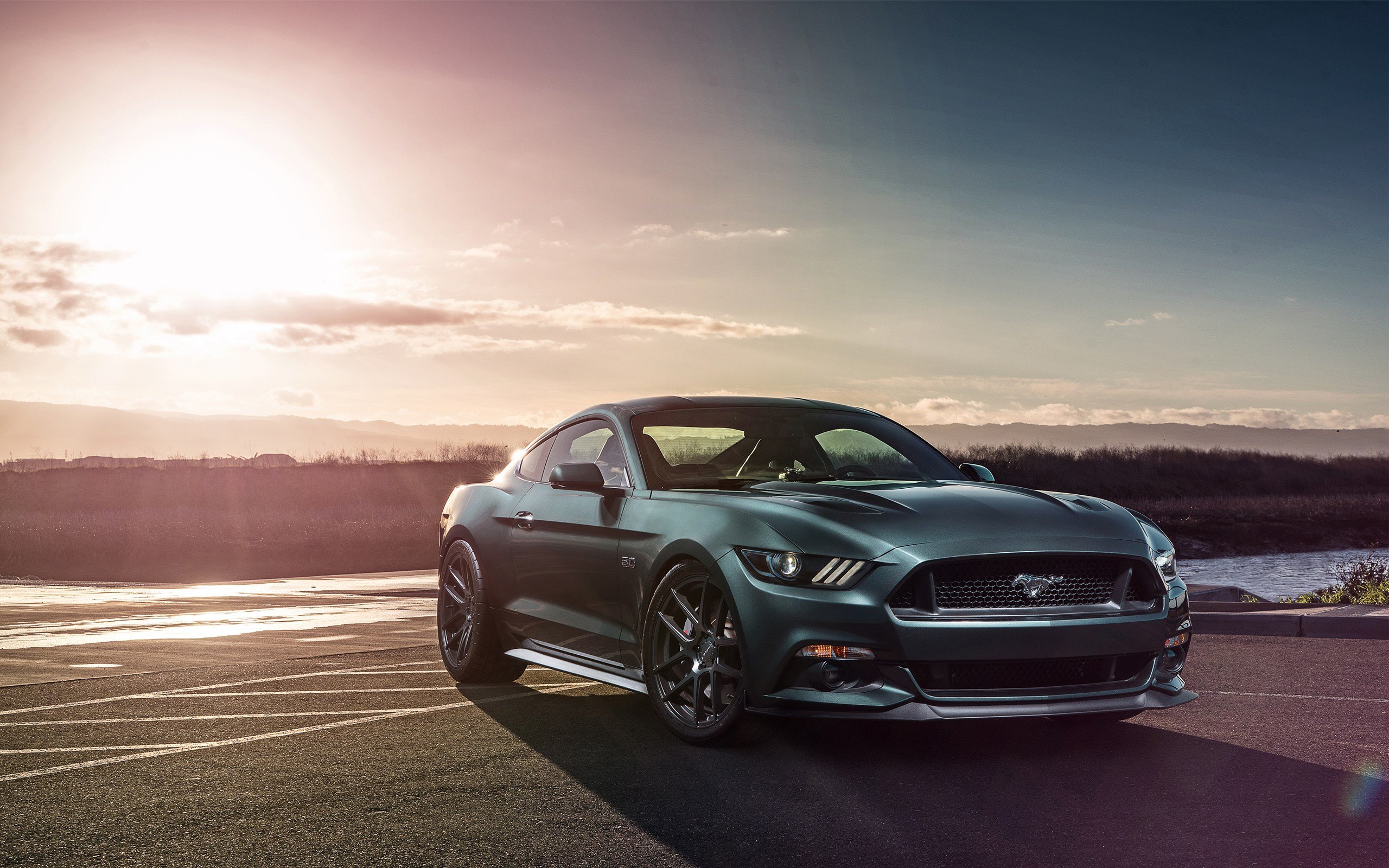 Ford Mustang Gt 5k Wallpapers Hd 2017 2018 Best Cars Ford 2560x1600
