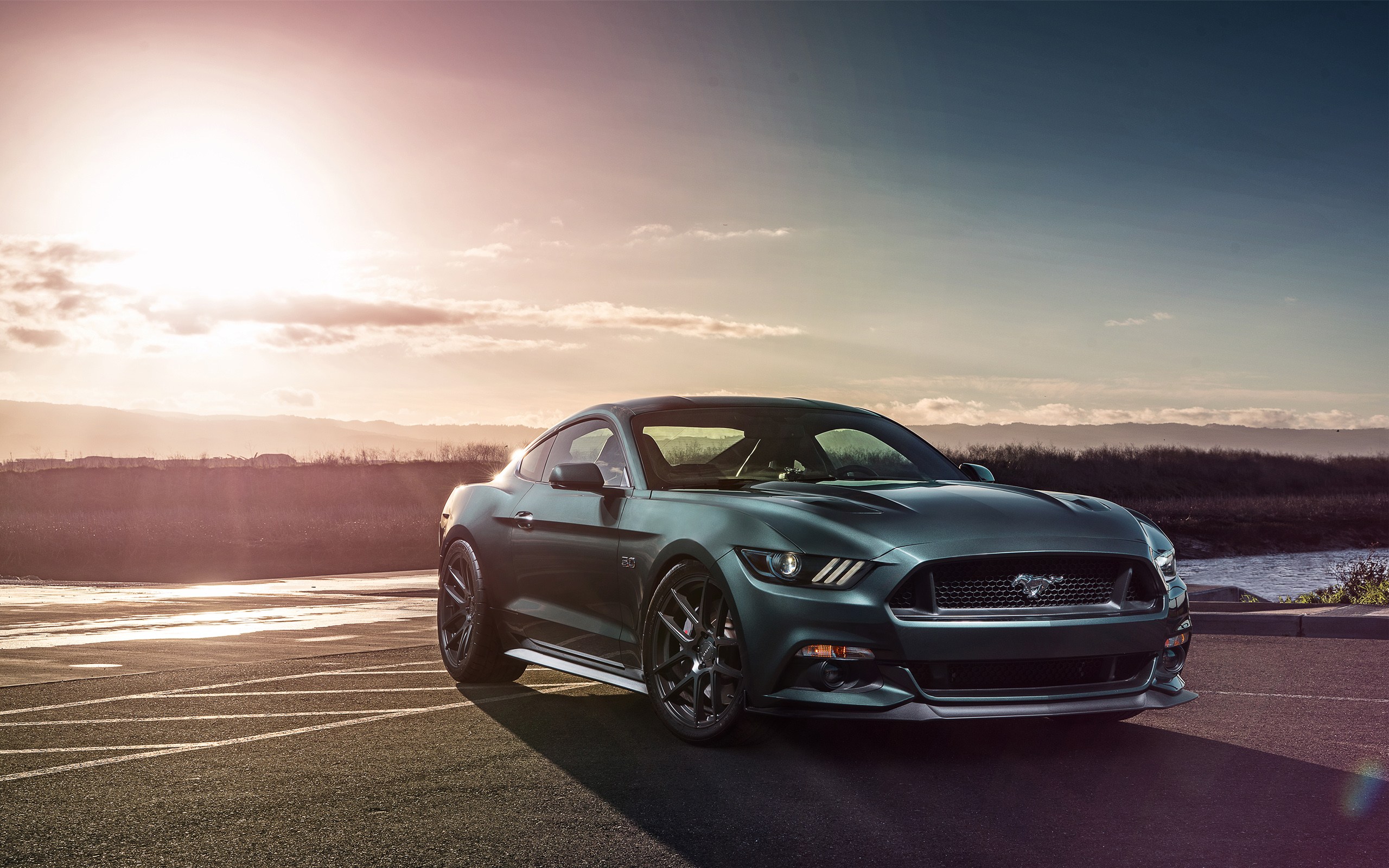 Ford Mustang Gt 5k Wallpaper HD Best Cars