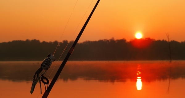 Sunrise Nature Fishing Lakes Fish Wallpaper Desktop