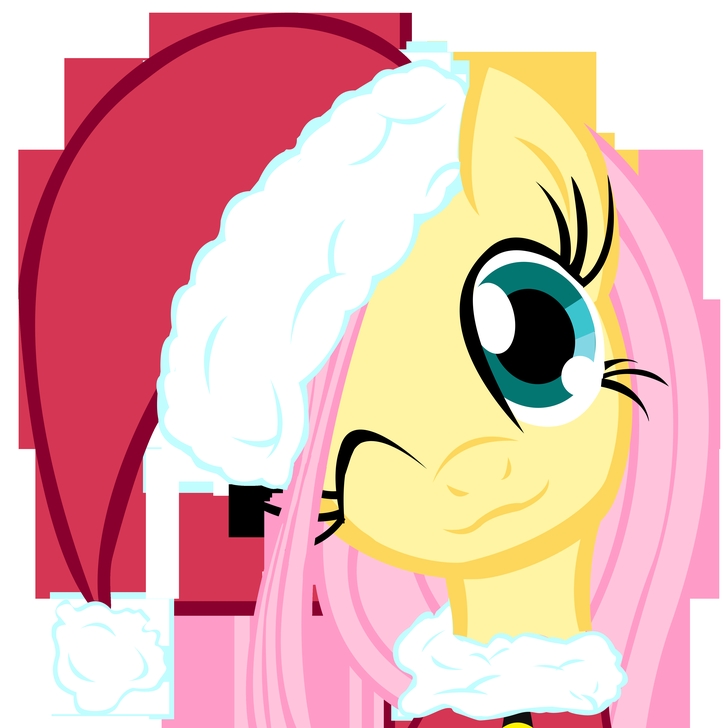 My Little Pony Fluttershy Ponies Santa Claus Hat