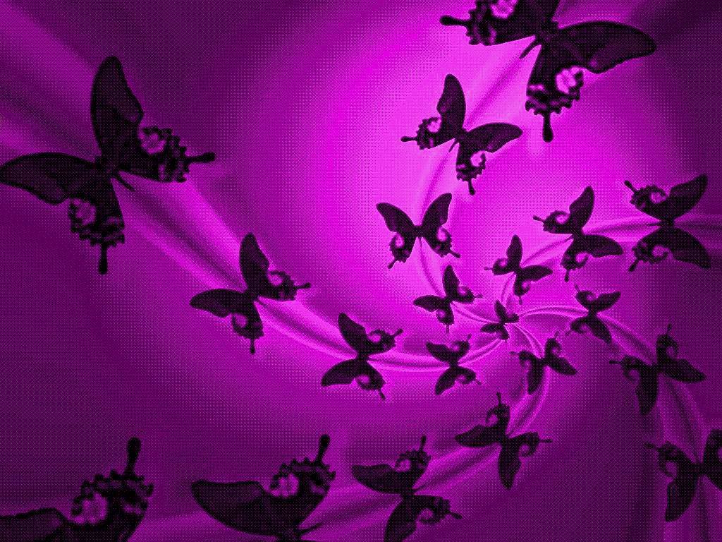 News Butterfly Purple Wallpaper
