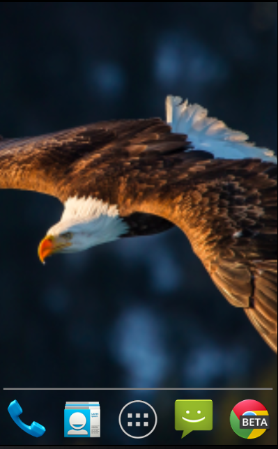 Bald Eagle Live Wallpaper Android Apps Op Google Play
