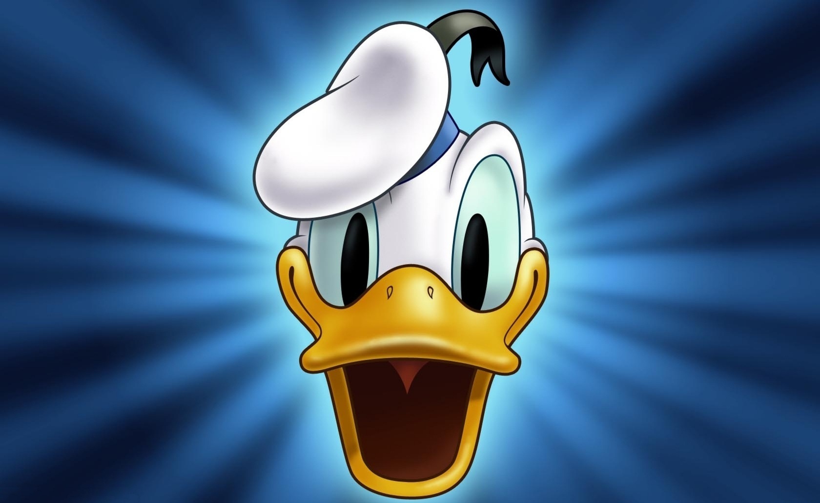 Donald Duck Cartoons HD Daily Pics Update