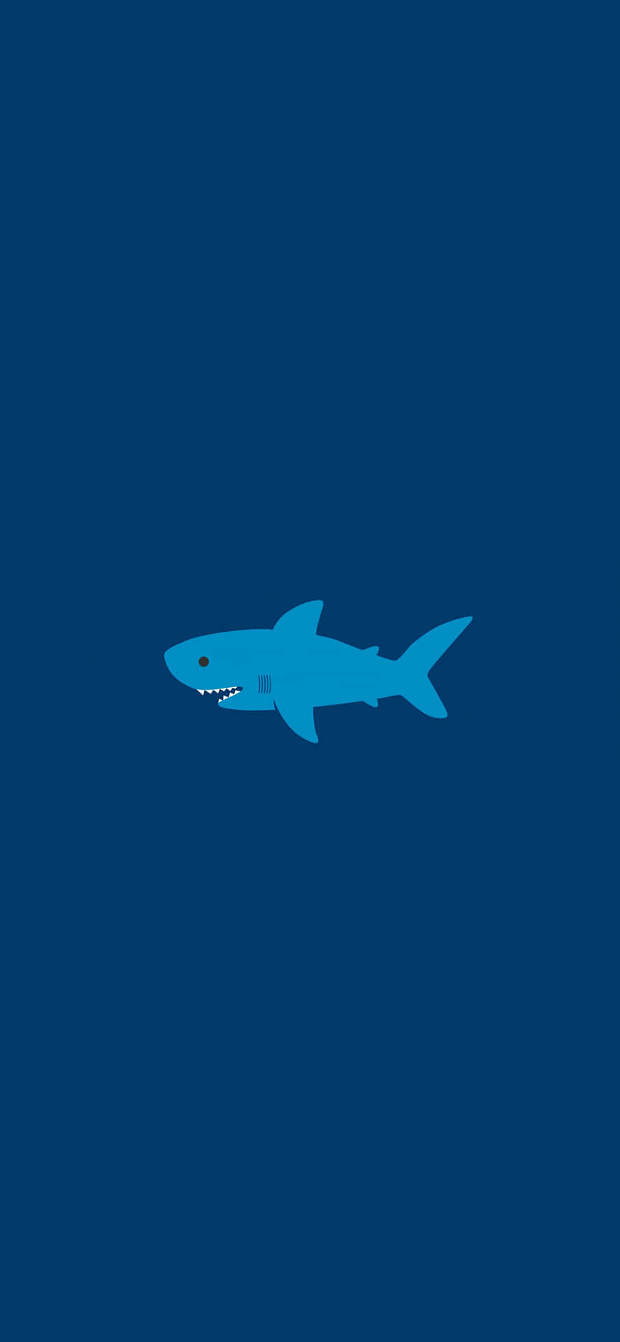 Show Your Style And Stand Out With This Awesome Shark iPhone Wallpaper