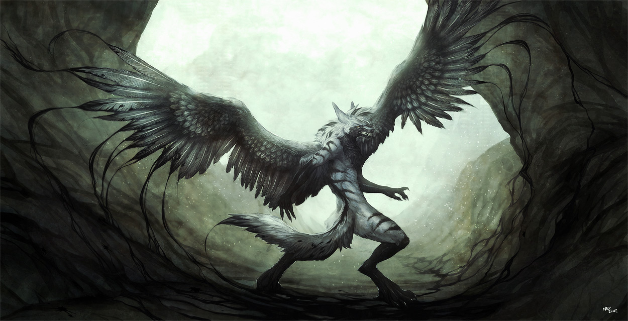 Fantasy Winged Wolf Furry Picture Wallpaper Gallery