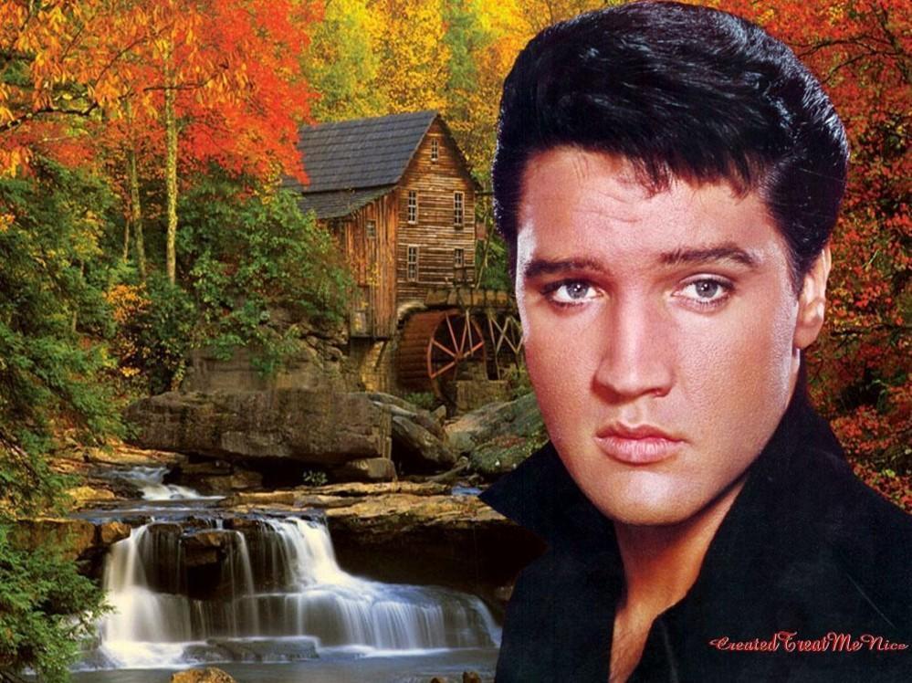 Elvis Wallpaper Presley Photo