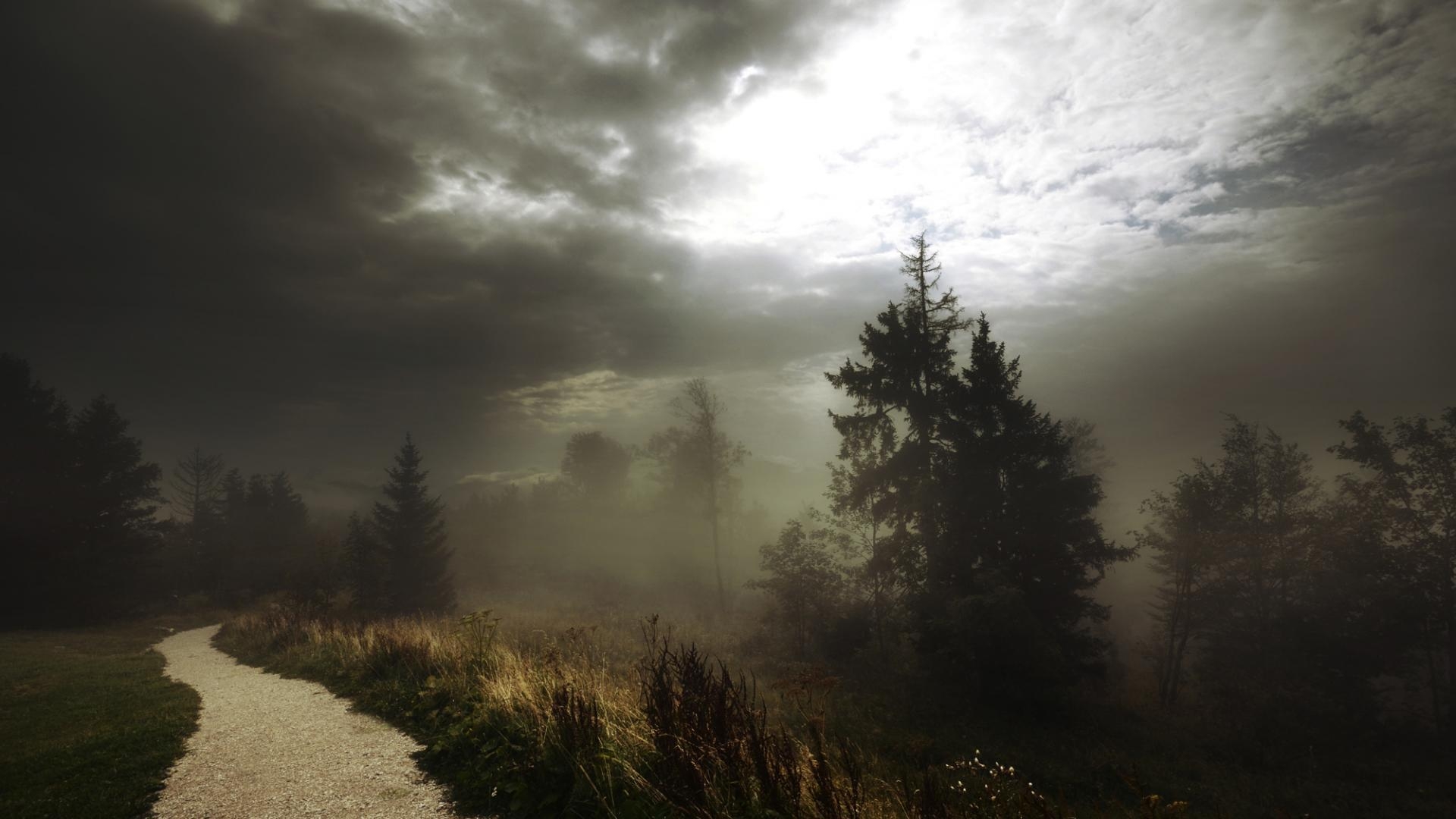Fog On A Footpath In Forest Before Storm HD Wallpaper