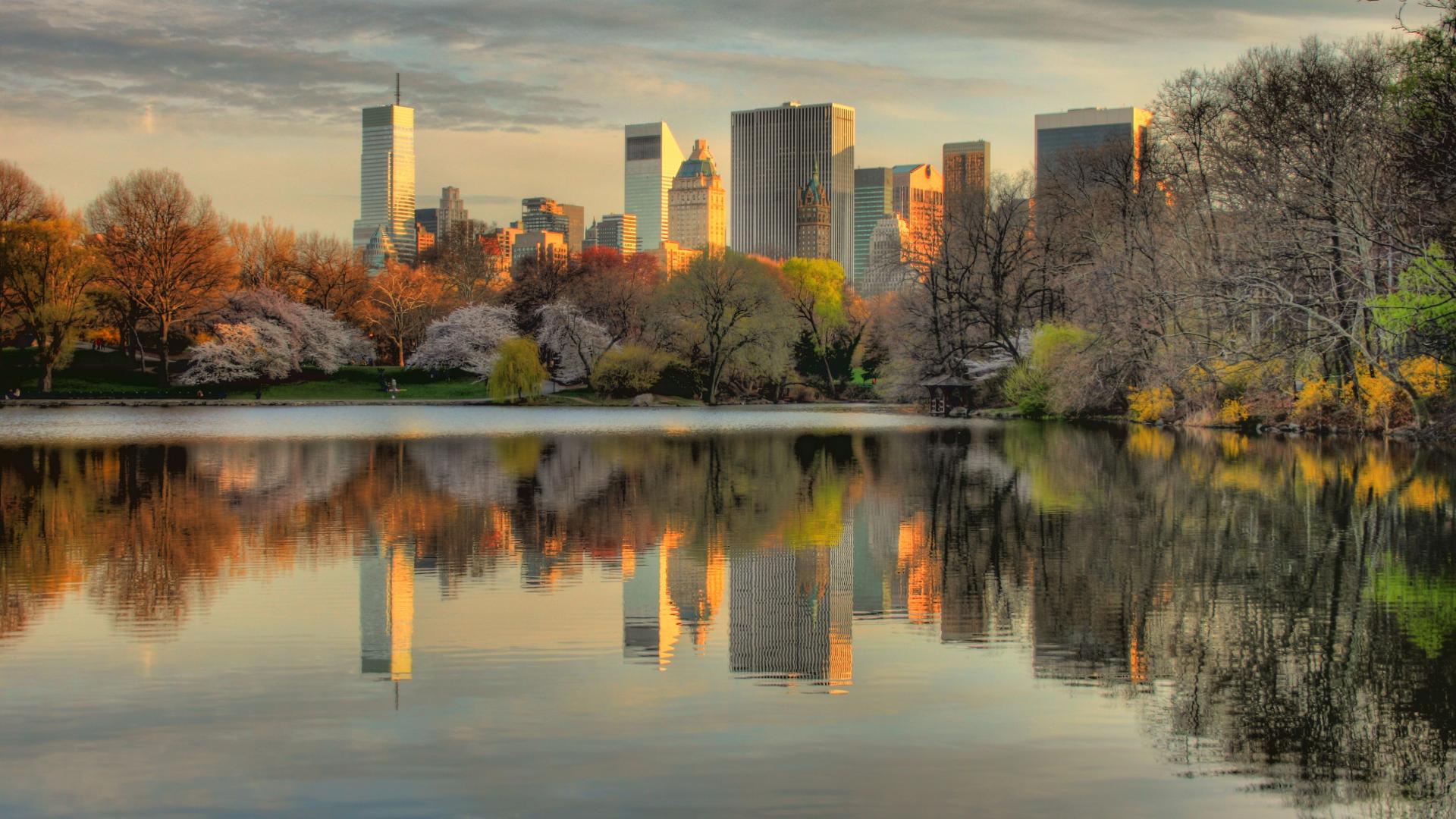 Central Park Wallpaper HD Background Of