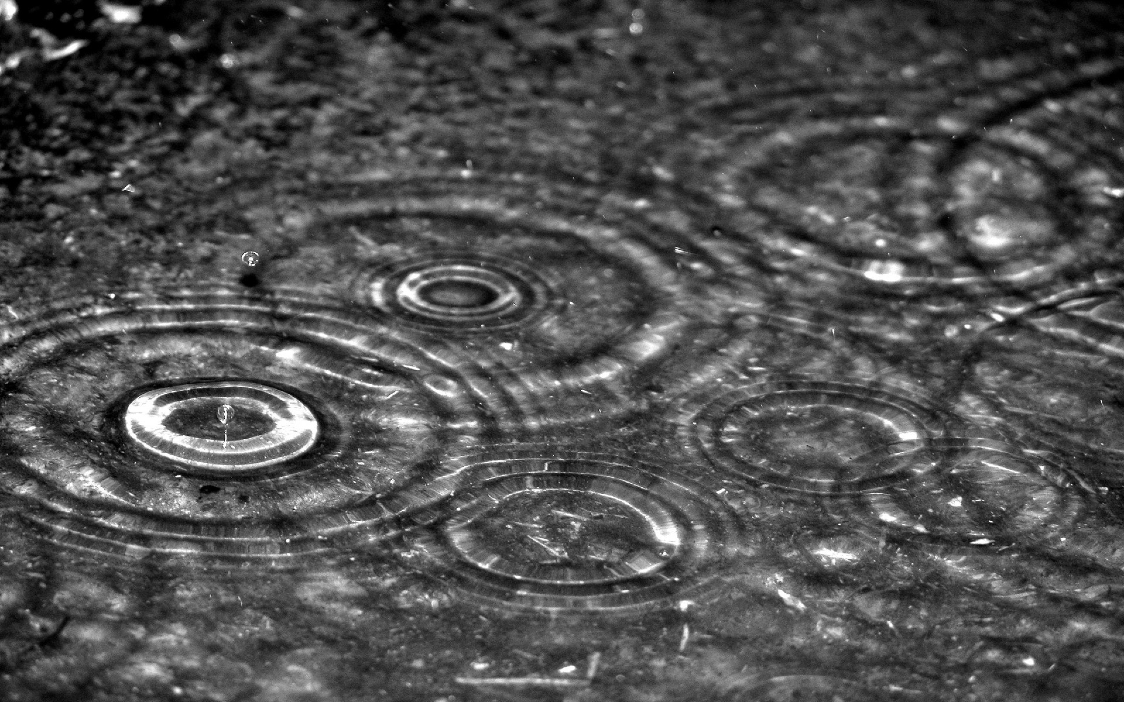Drops Circles Water Rain Gray Wallpaper Background Ultra HD 4k