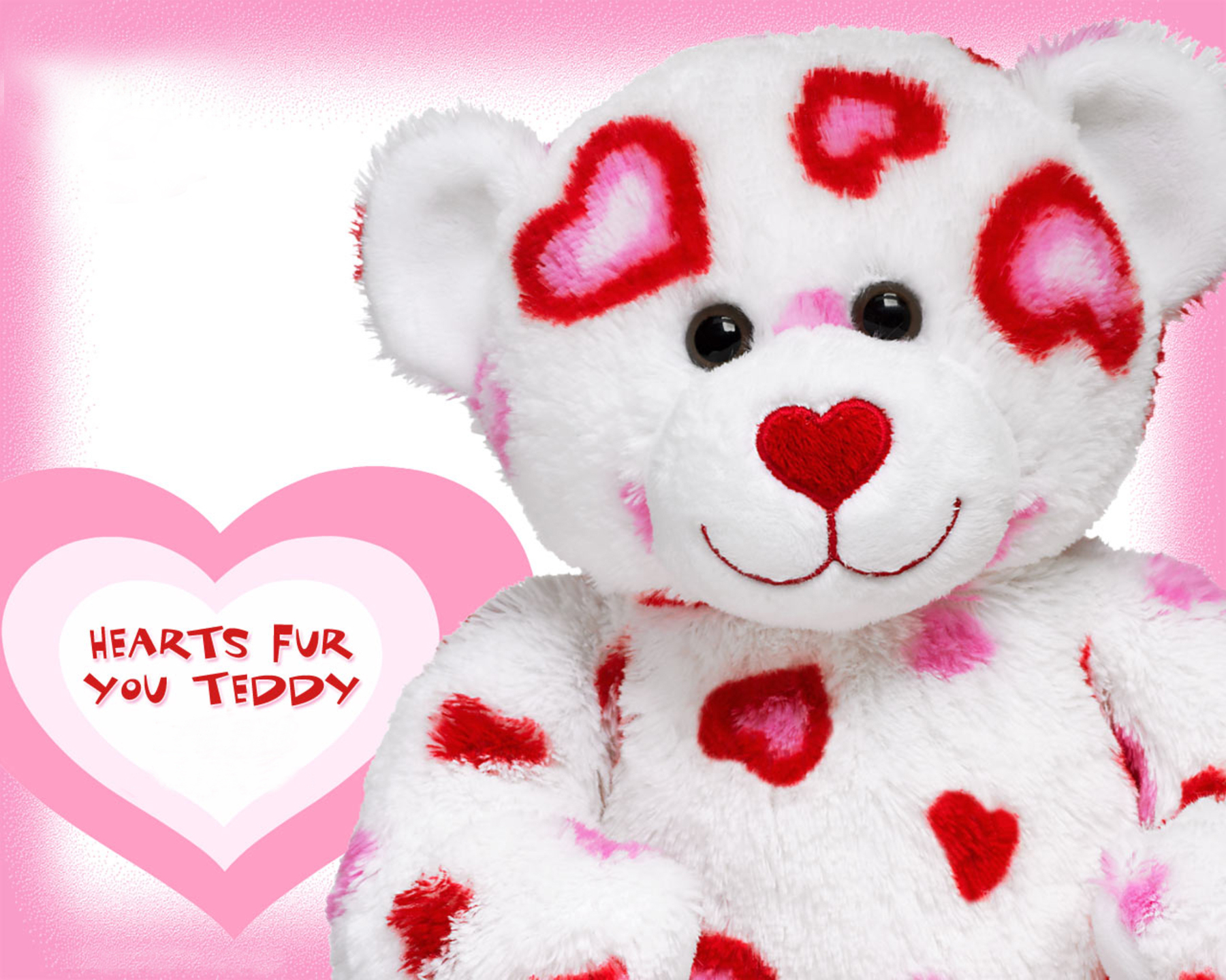 www teddy day