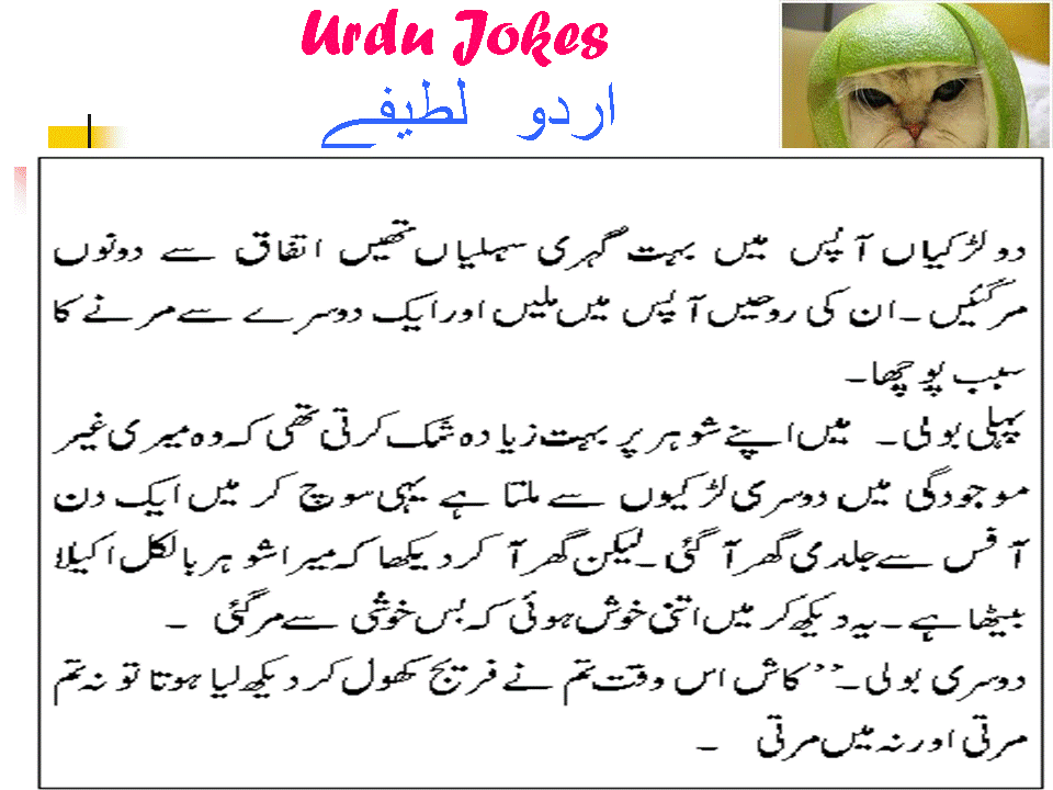 Wallpaper Funny Jokes Urdu image gallery 960x720
