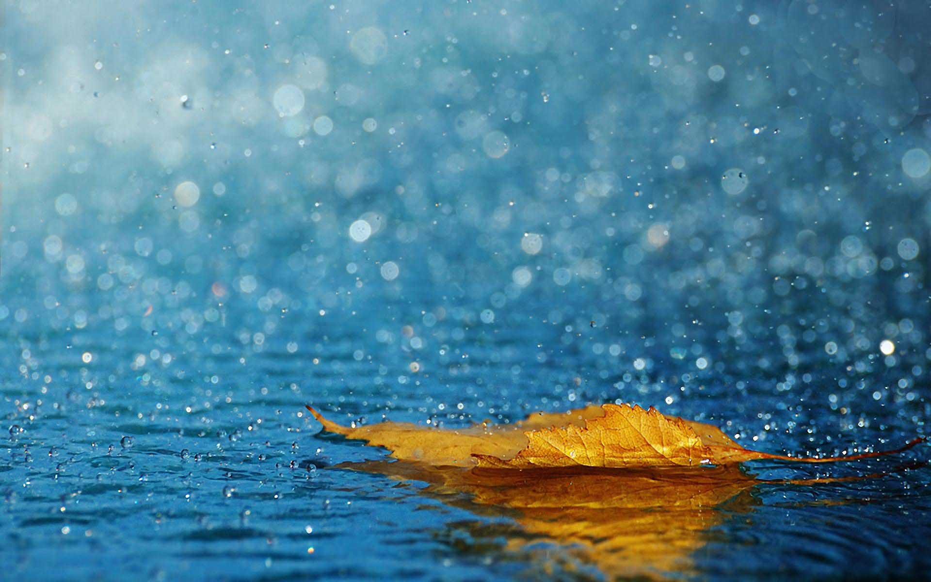 Rain Beautiful Wallpaper Which Is Under The Rainy
