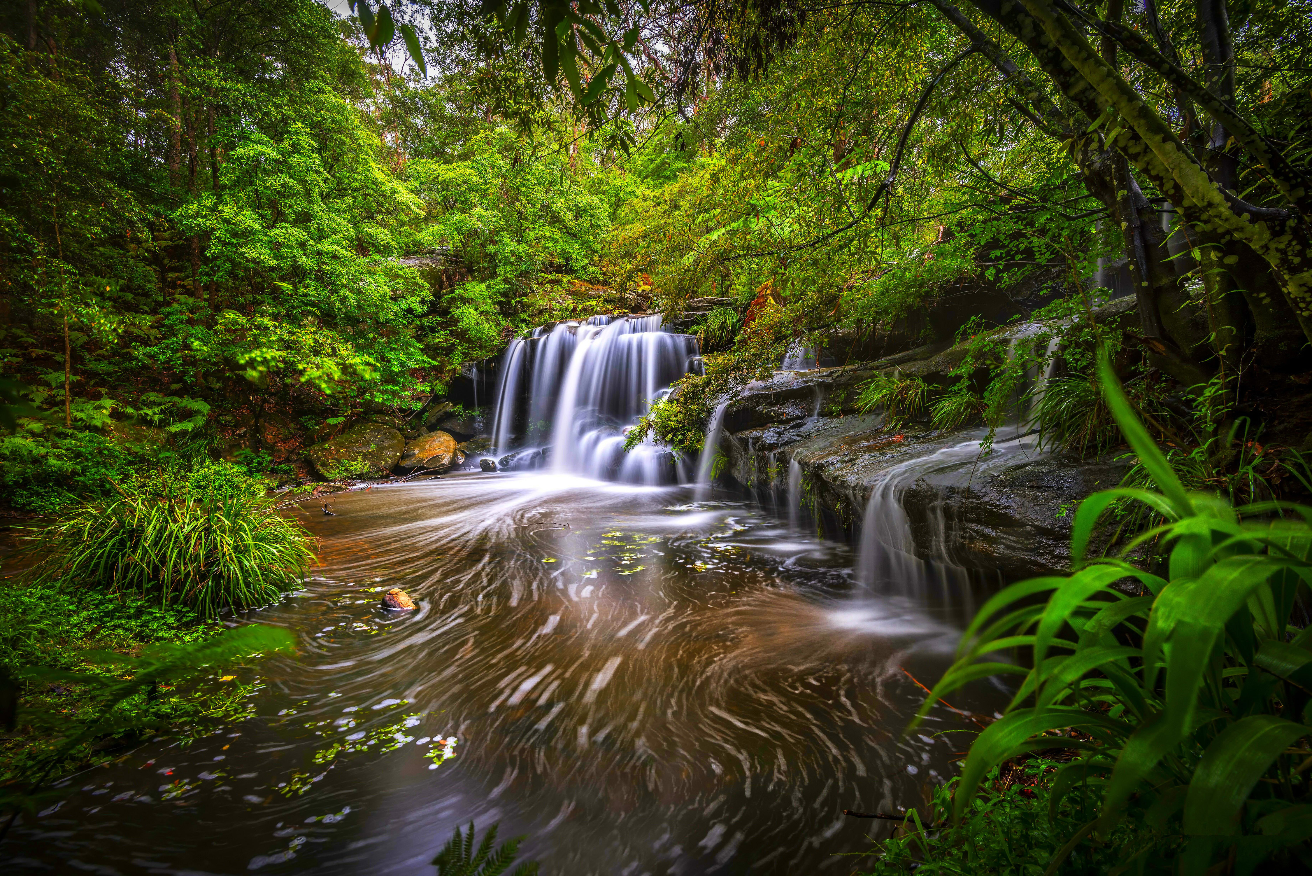Forest Trees Bushes River Stream Waterfall Stones Wallpaper