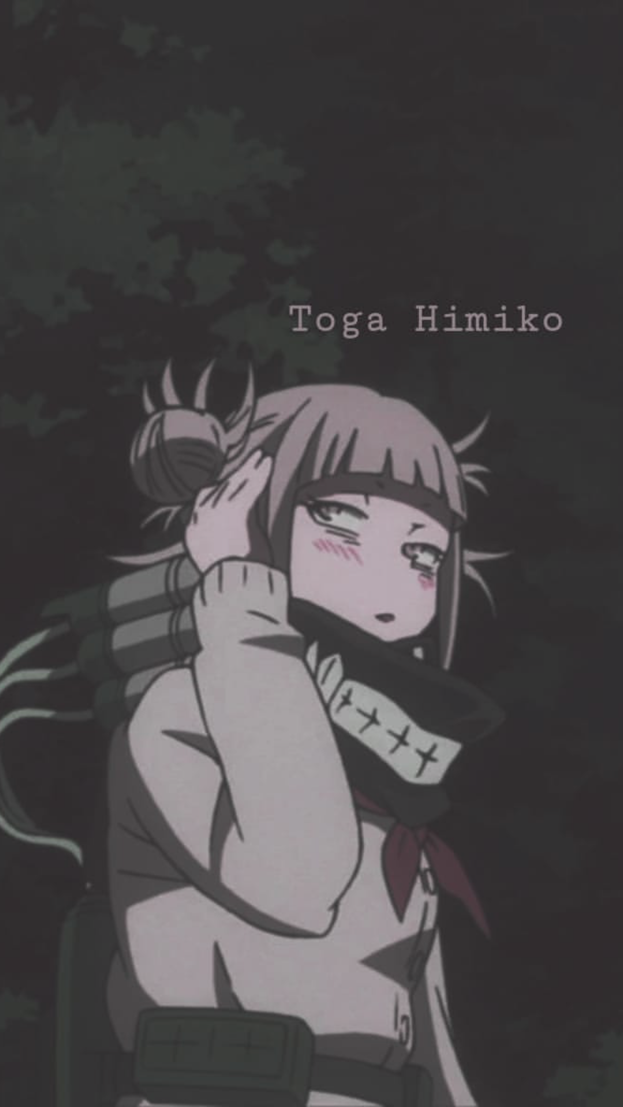 Shaunci Torres On Toga Himiko Anime Wallpaper My