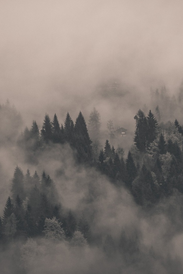Misty Mountain Landscape iPhone Wallpaper