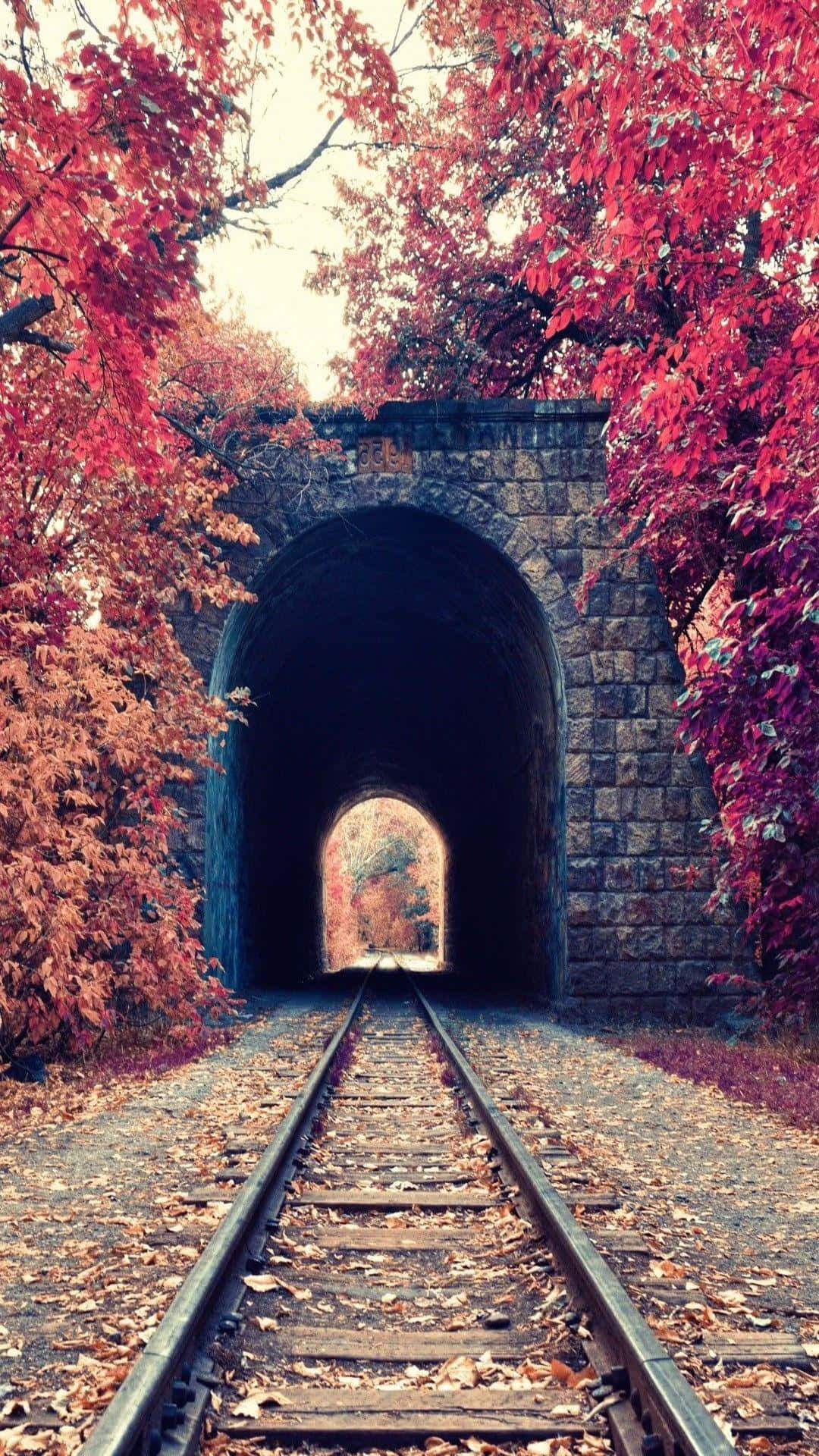 Capturing Natural Beauty With Portrait Photography Wallpaper