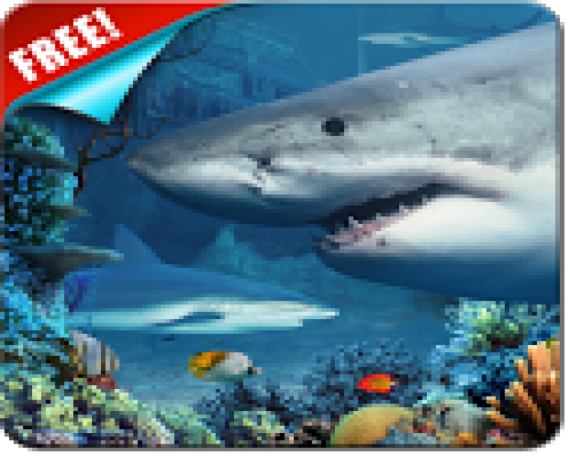 Shark Reef Live Wallpaper Android   Download Shark Reef Live 800x640