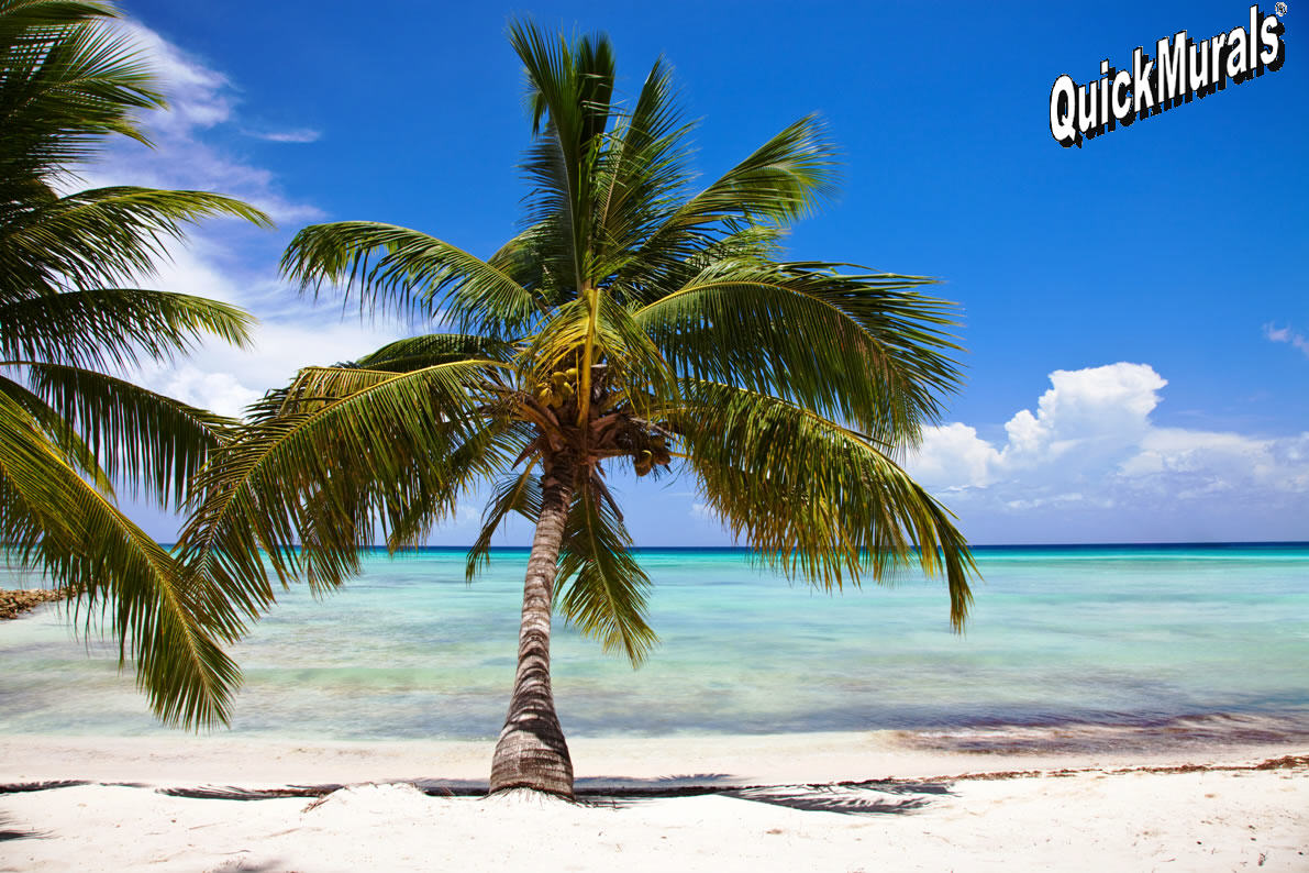 free-download-tropical-beach-wall-mural-1191x794-for-your-desktop