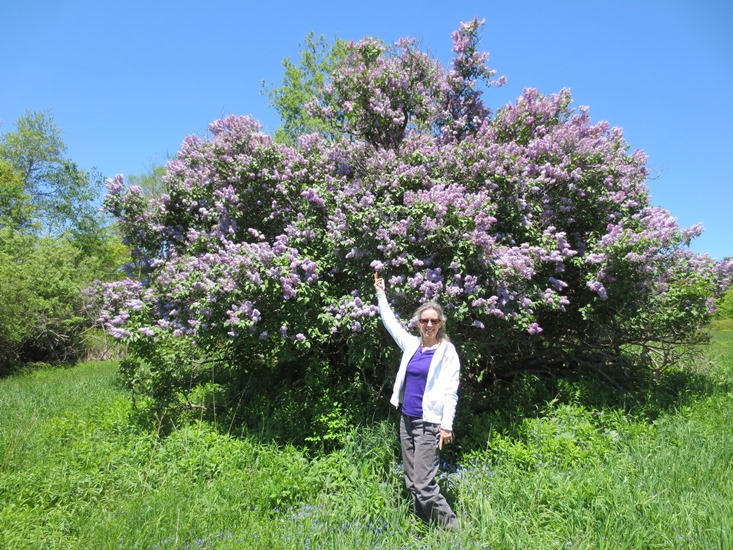 lilac tree and mom small