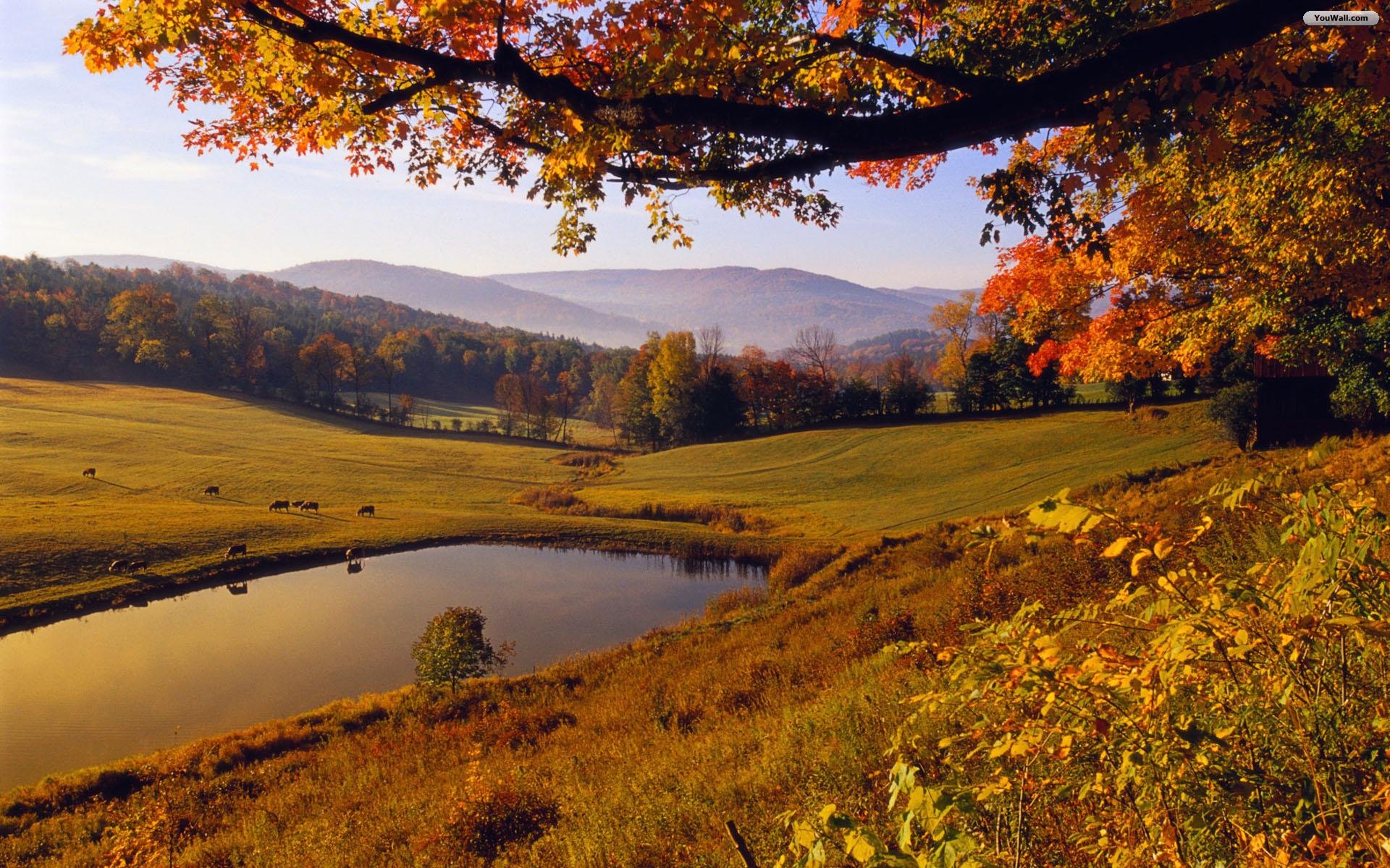 Pics Photos Autumn Landscape Wallpaper