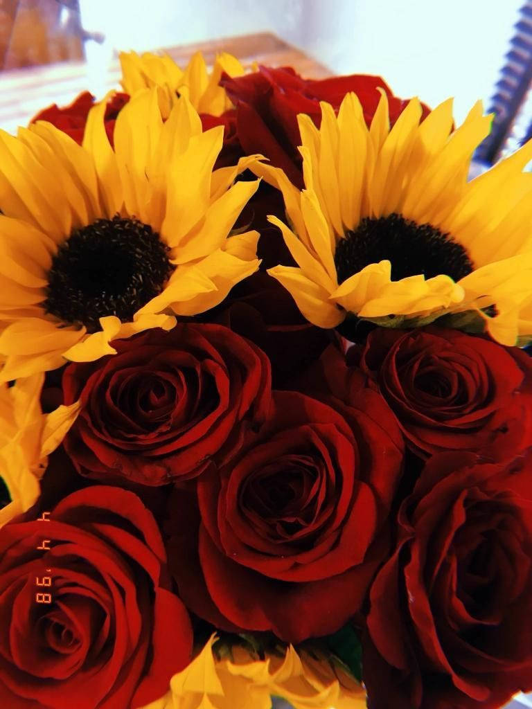 Sunflower And Roses Wallpaper