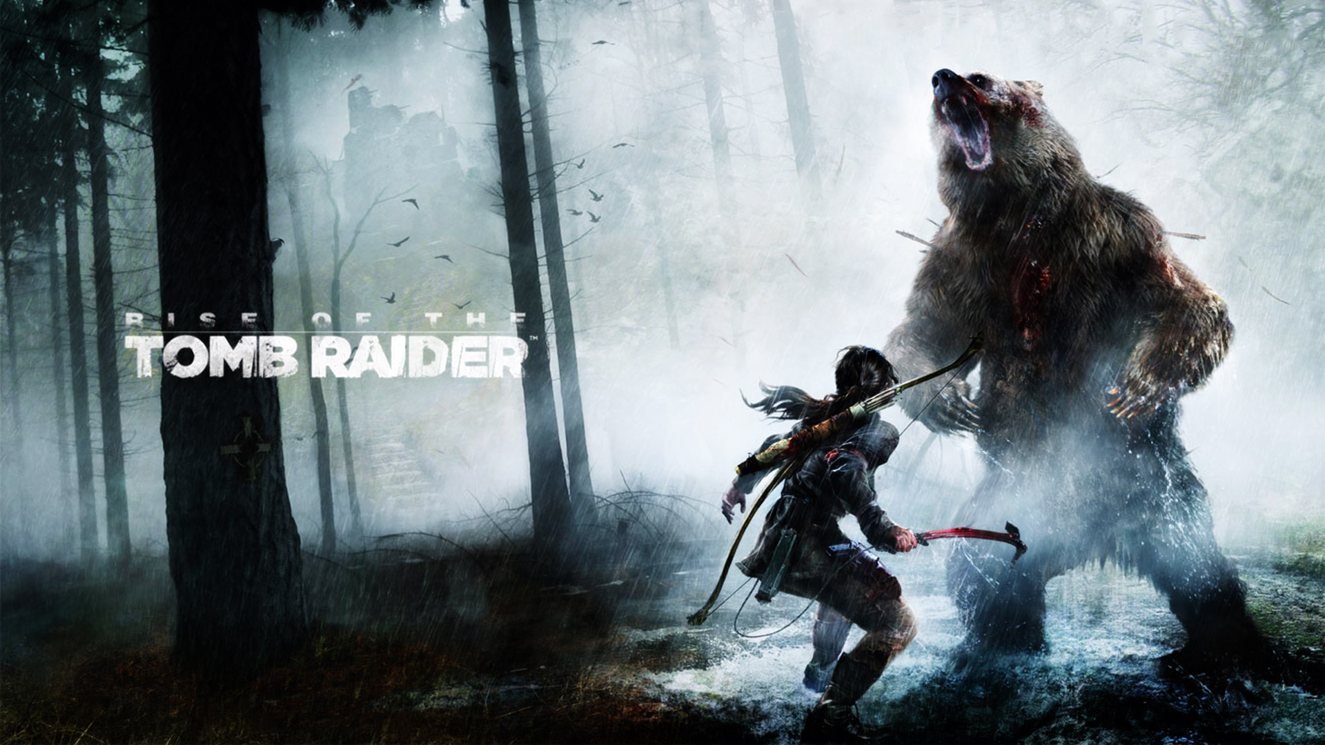 Rise of the Tomb Raider Bear Fight Desktop Wallpaper
