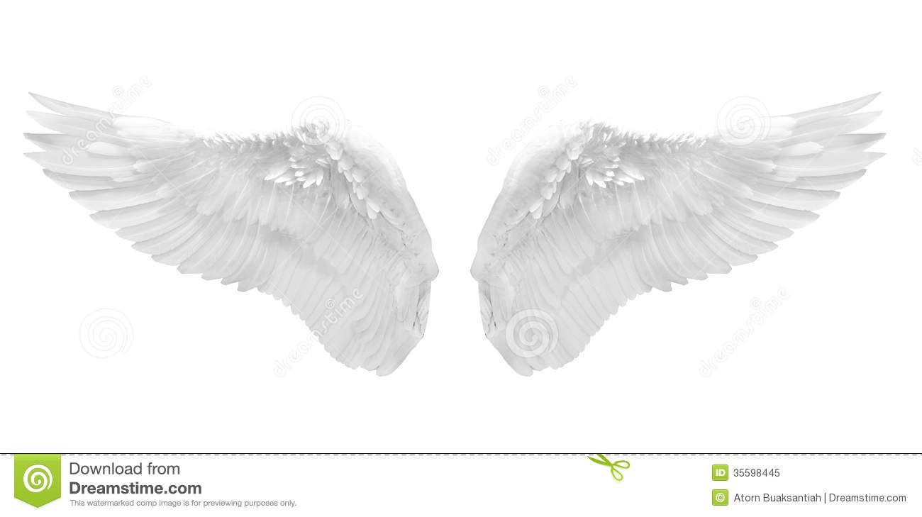 Showing Gallery For White Angel Wings Background