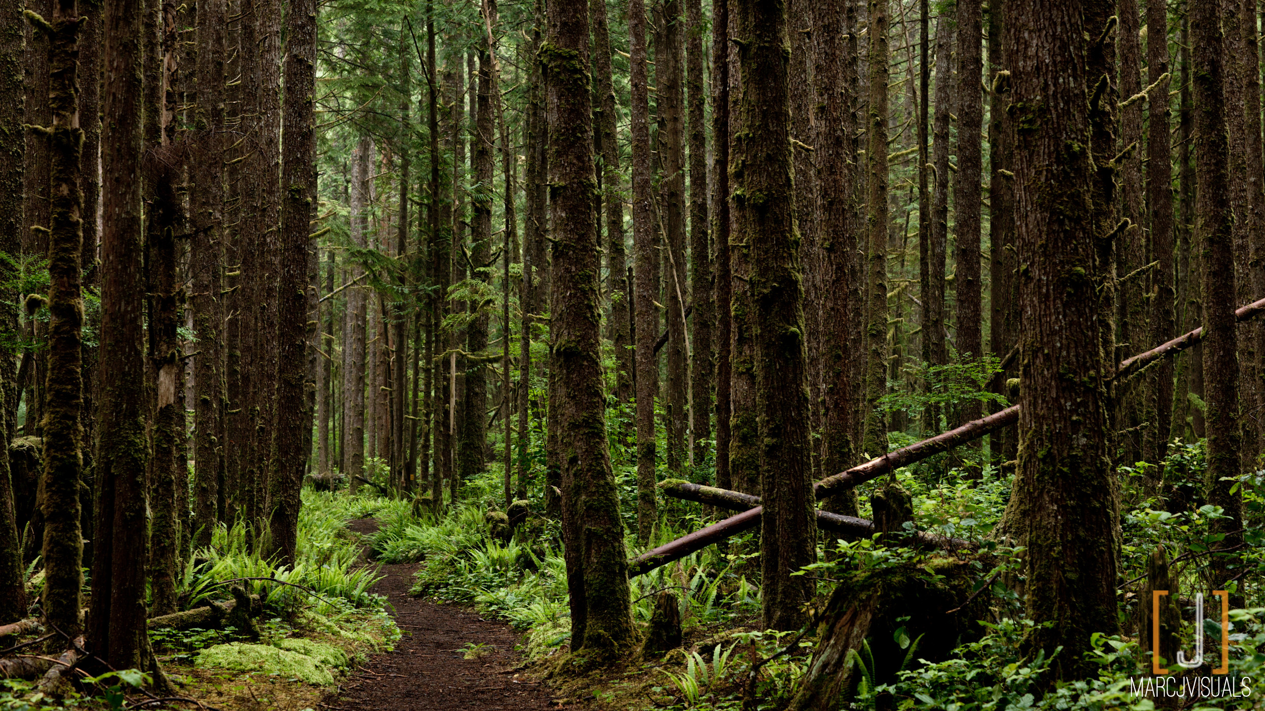 Hiking Wallpaper