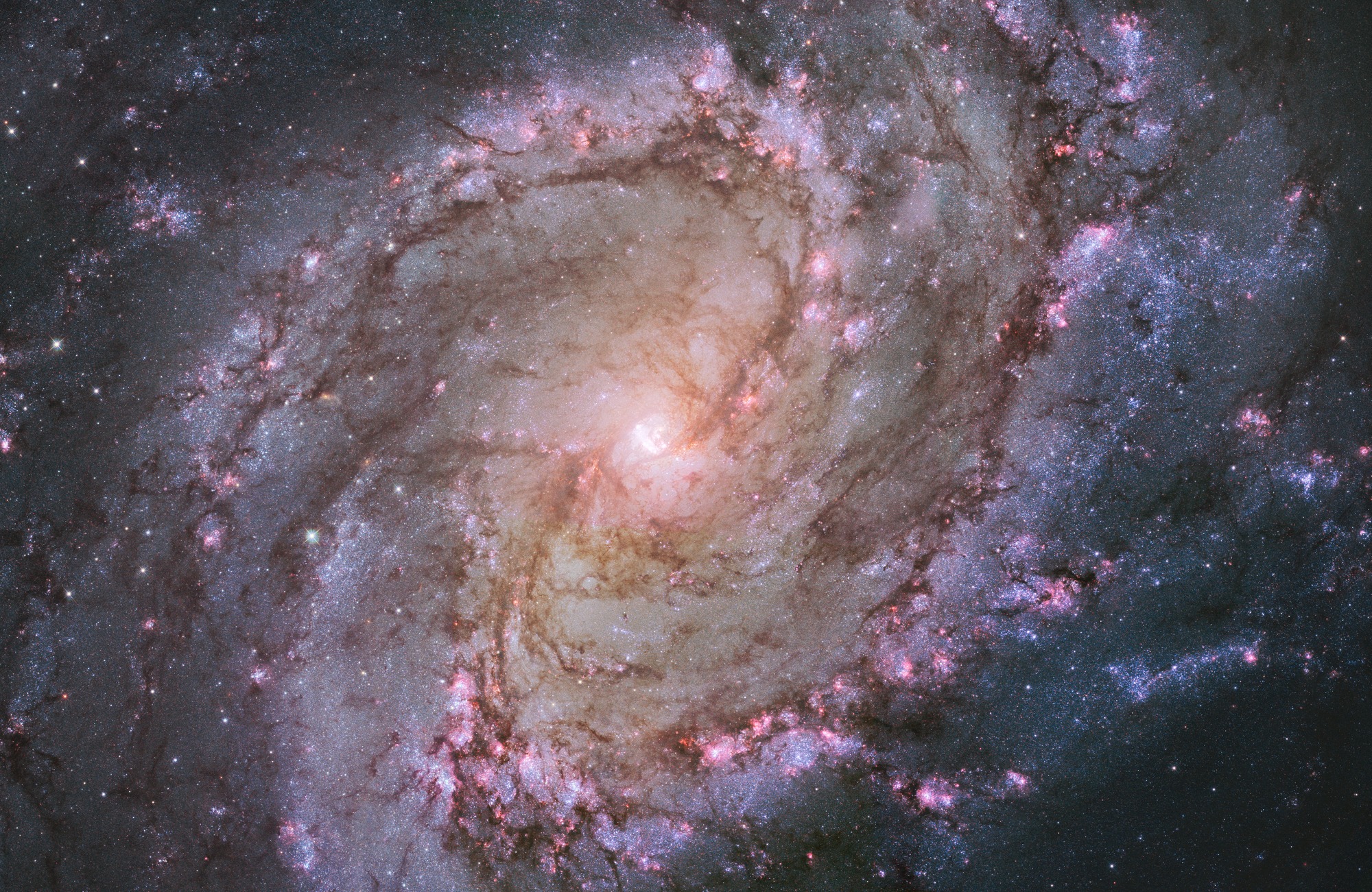 Spiral Galaxy M83 Wallpaper Mural Wallsauce Us