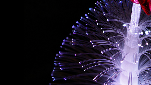 Fiber optic tree background Flickr   Photo Sharing