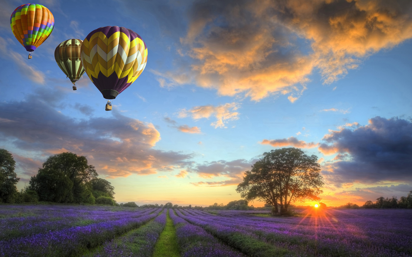 Hot air balloon lavender Wallpaper HD HD Desktop Wallpapers