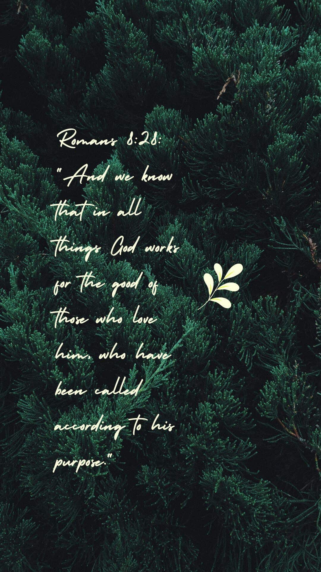 Christian Aesthetic Wallpaper