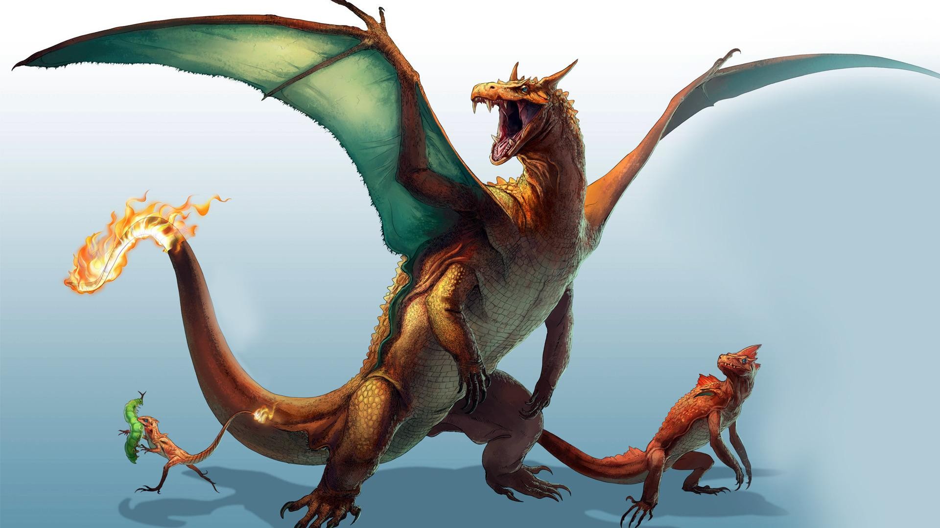 Pokemon Dragon Dragons Fantasy Wallpaper