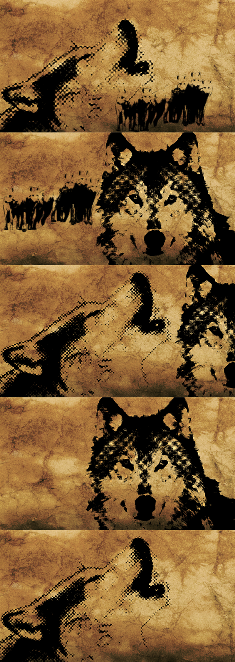 Wolf Pack Wallpaper By Pinkrose3101