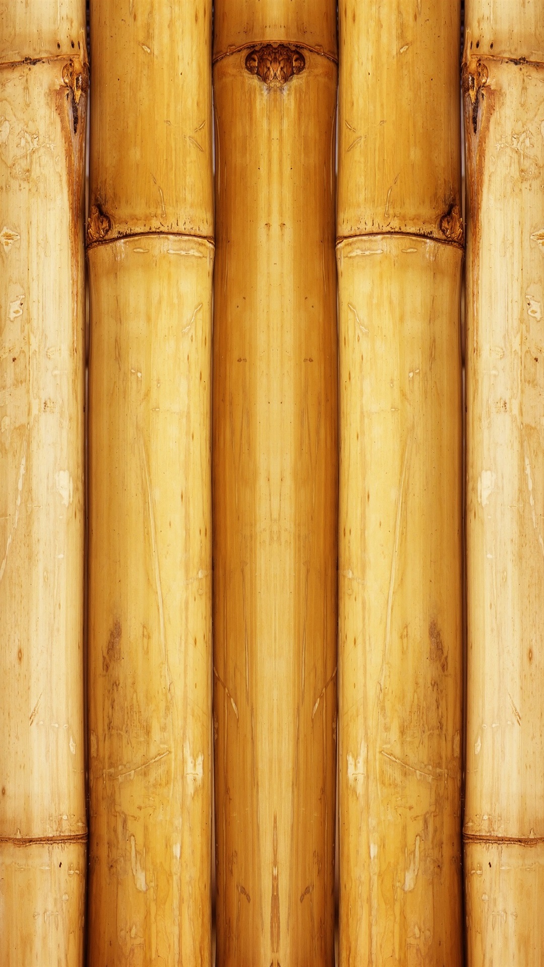 Wallpaper Bamboo UHD 4k Picture Image