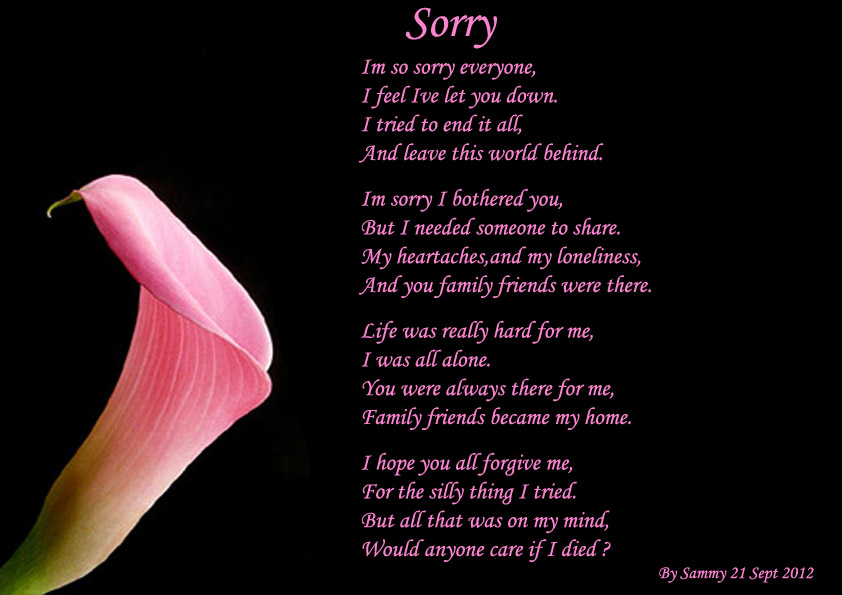 Poem Sorry I Poems Letters Love