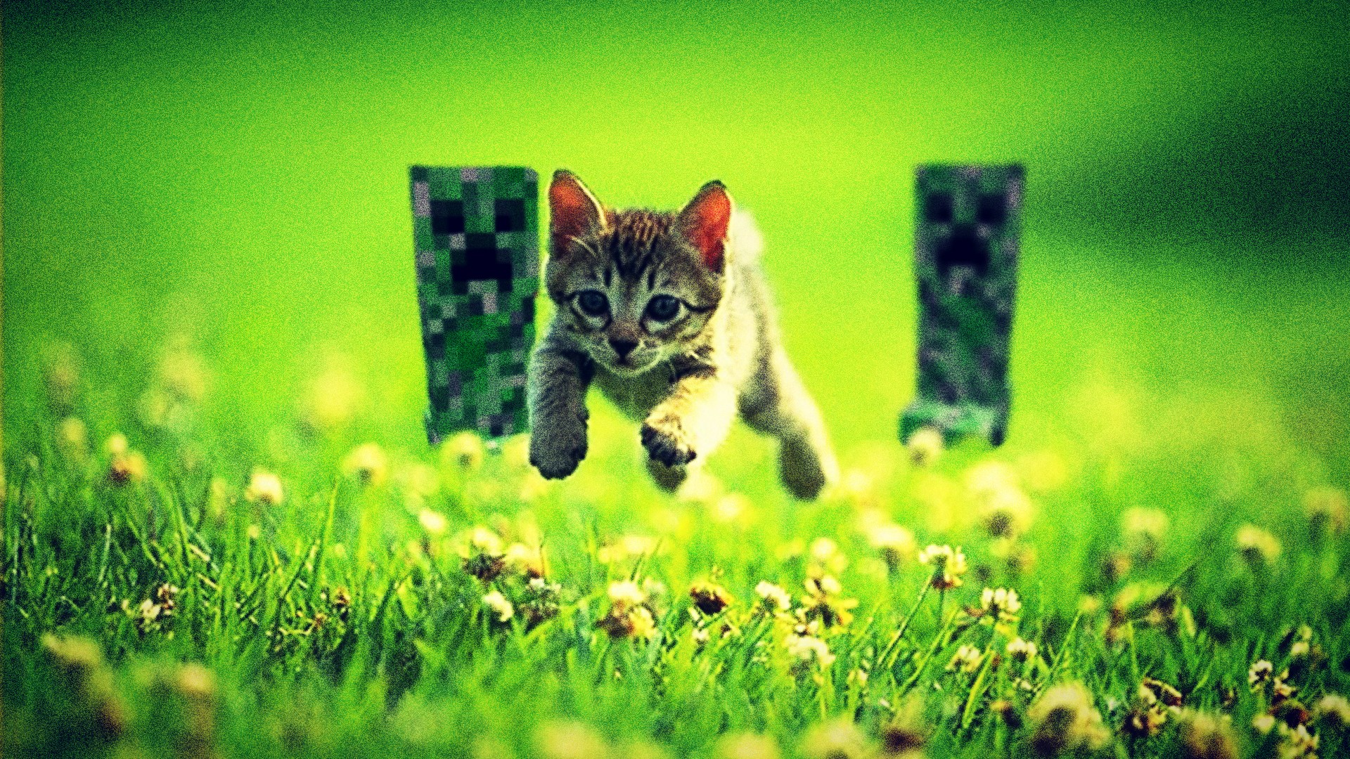 Cats Funny Minecraft Running Away Wallpaper