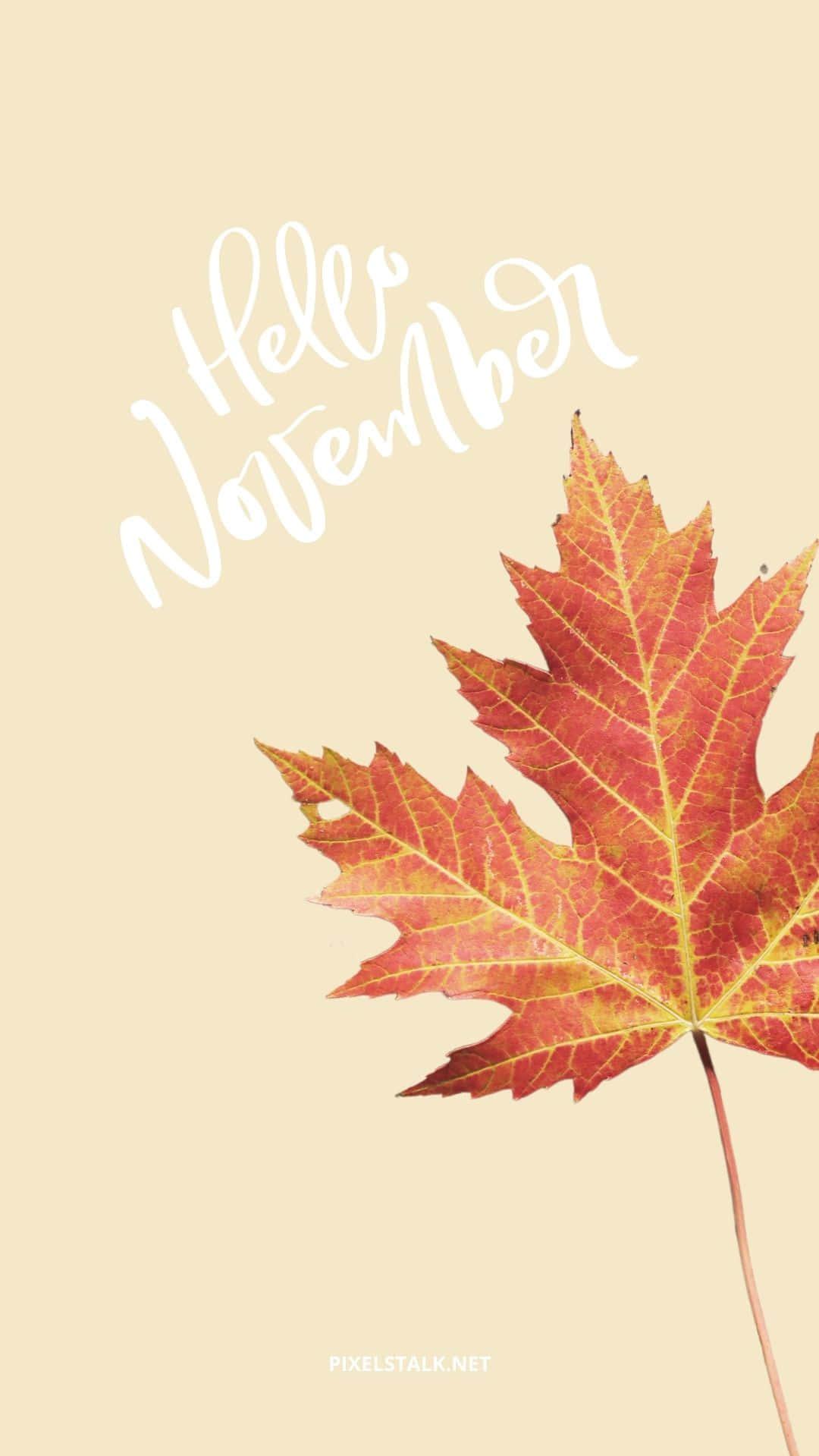 Aesthetic November Maple Wallpaper