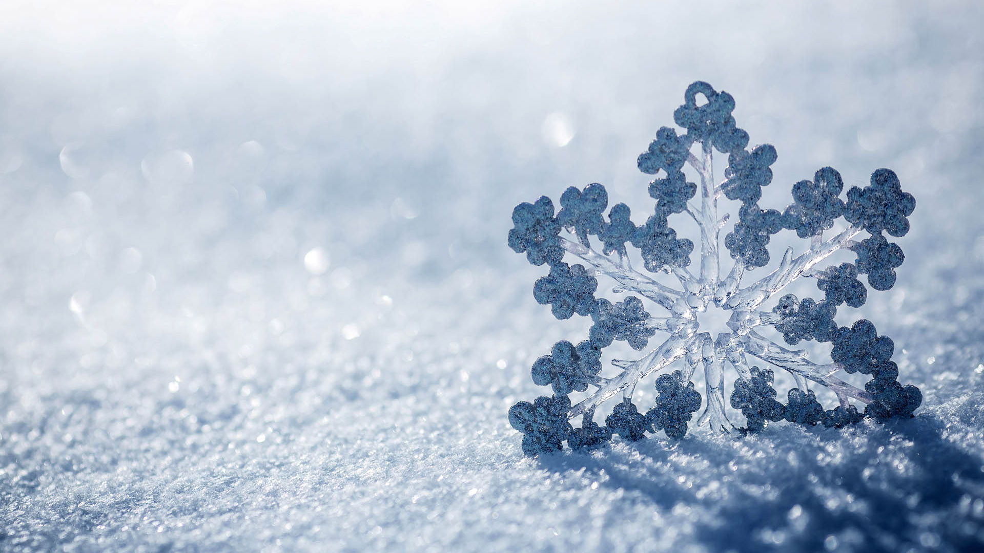 Snowflake Background Wallpaper High Definition Quality