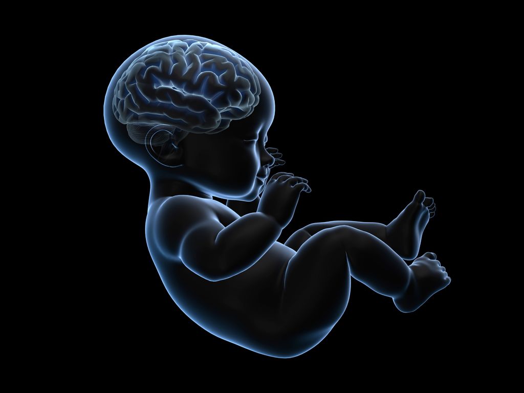 Study Confirms That Inflammation During Pregnancy Is Linked To