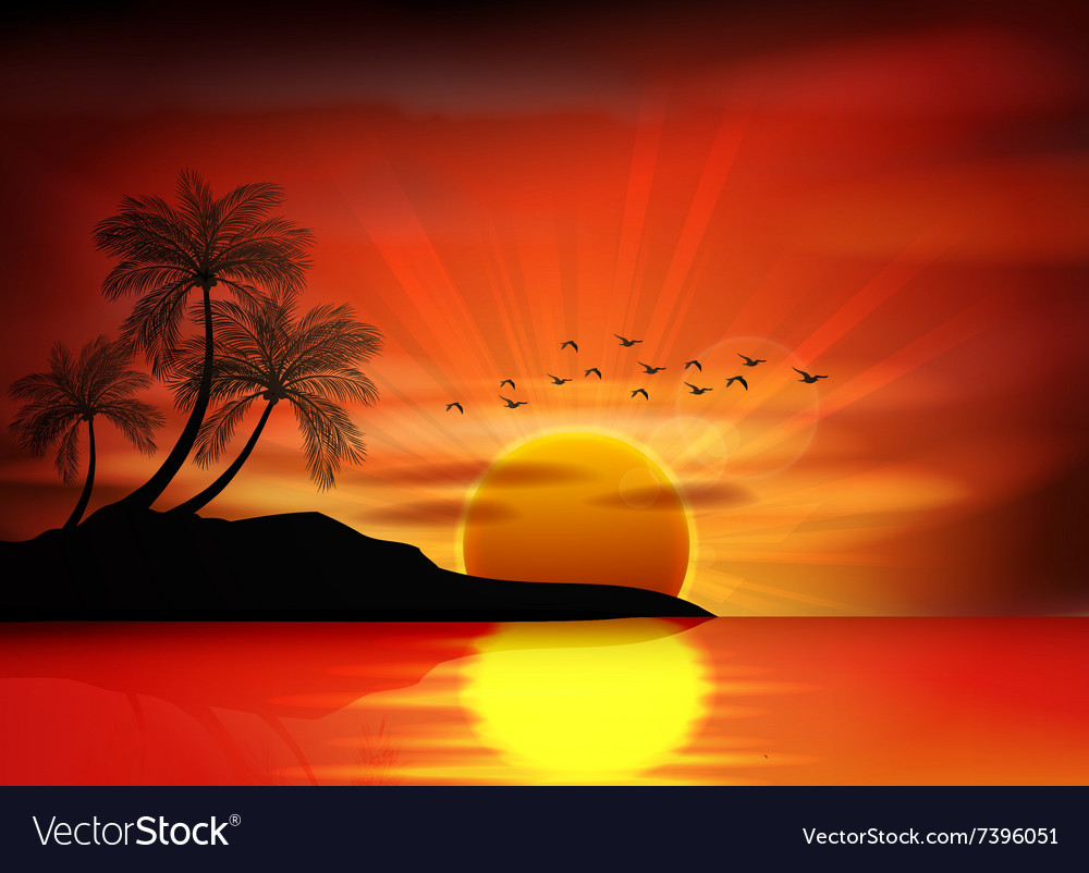 Sunset background on beach Royalty Free Vector Image