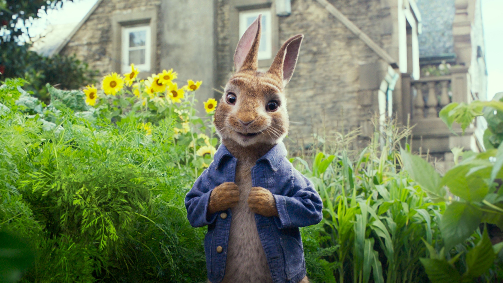 Peter Rabbit Movie images Peter Rabbit HD wallpaper and background