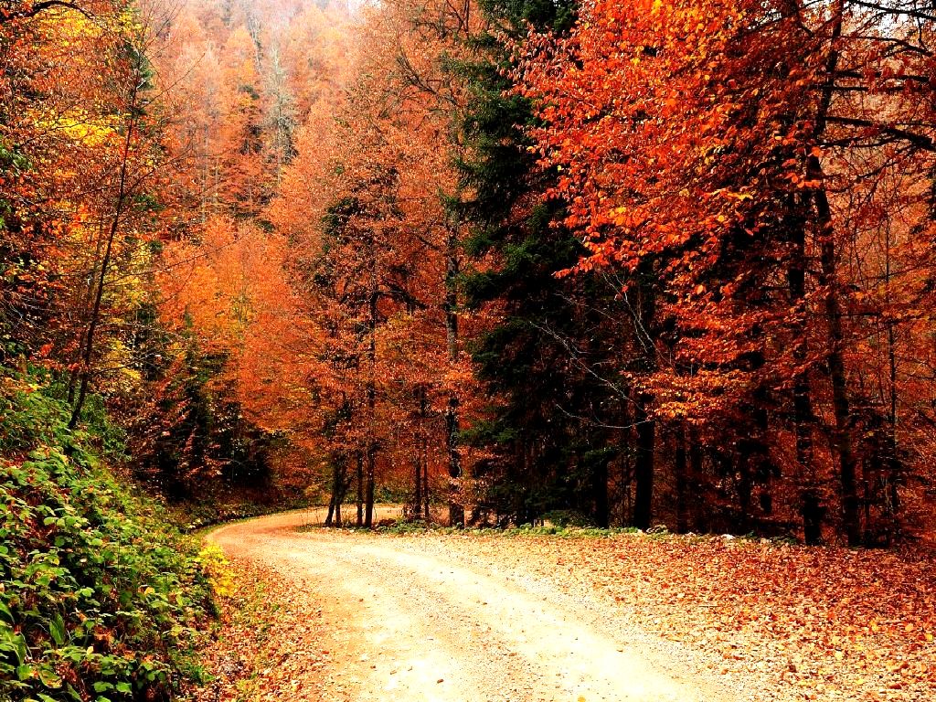 Fall Wallpaper Pictures For Your Desktop Autumn By