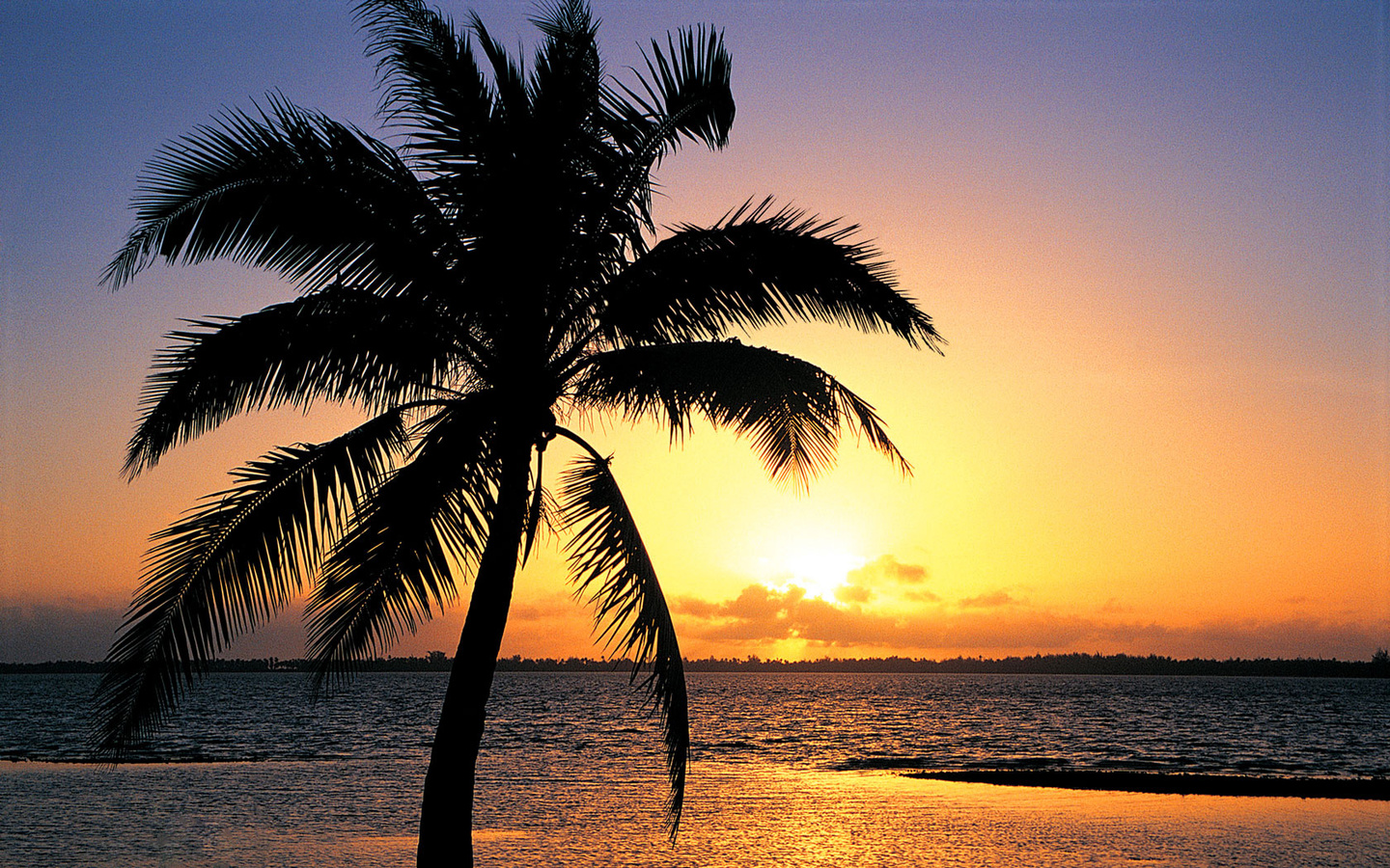 Orange sunset on the tropic beach background   Beach Wallpapers