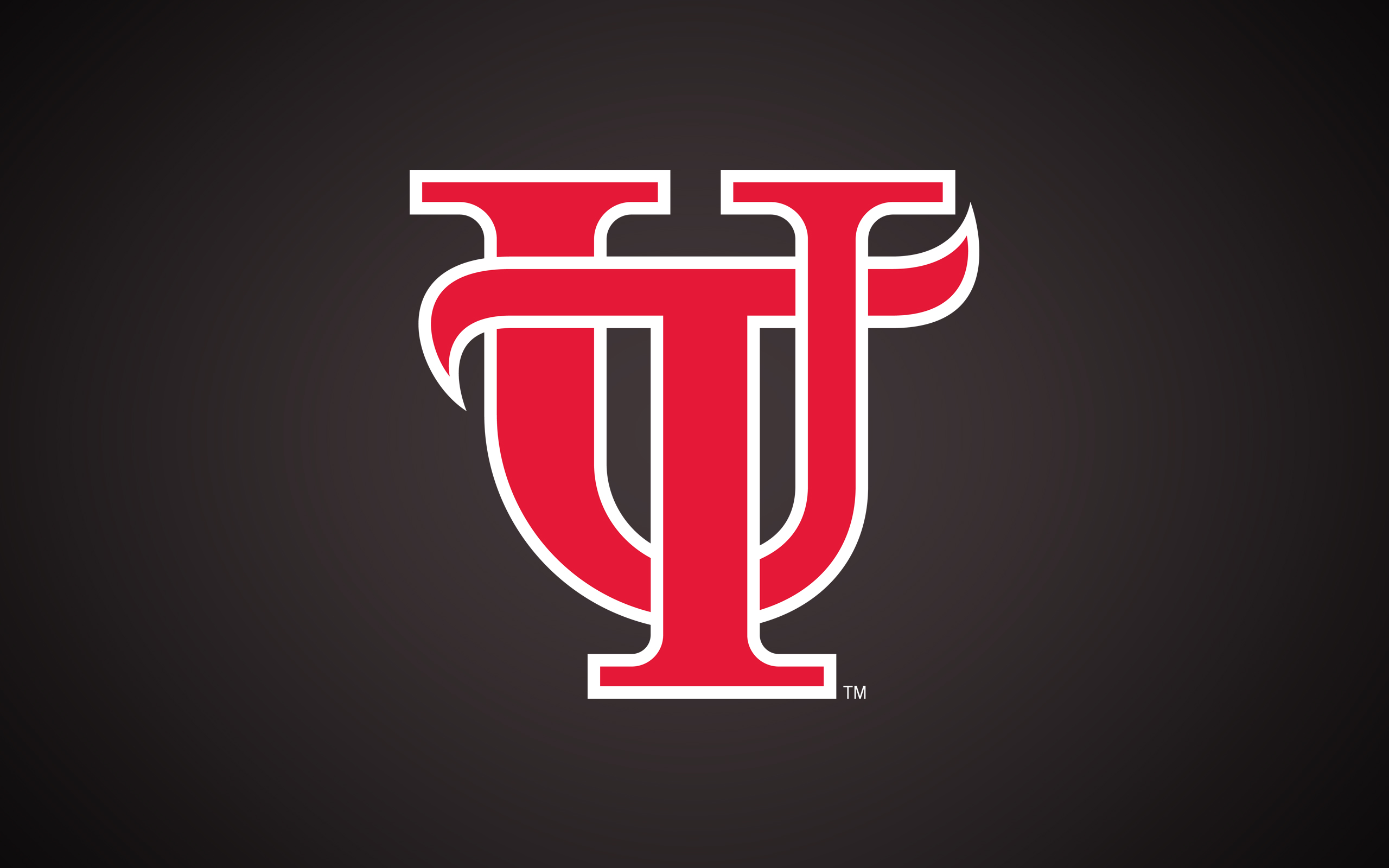 University Of Texas Logo Wallpaper Imgkid The