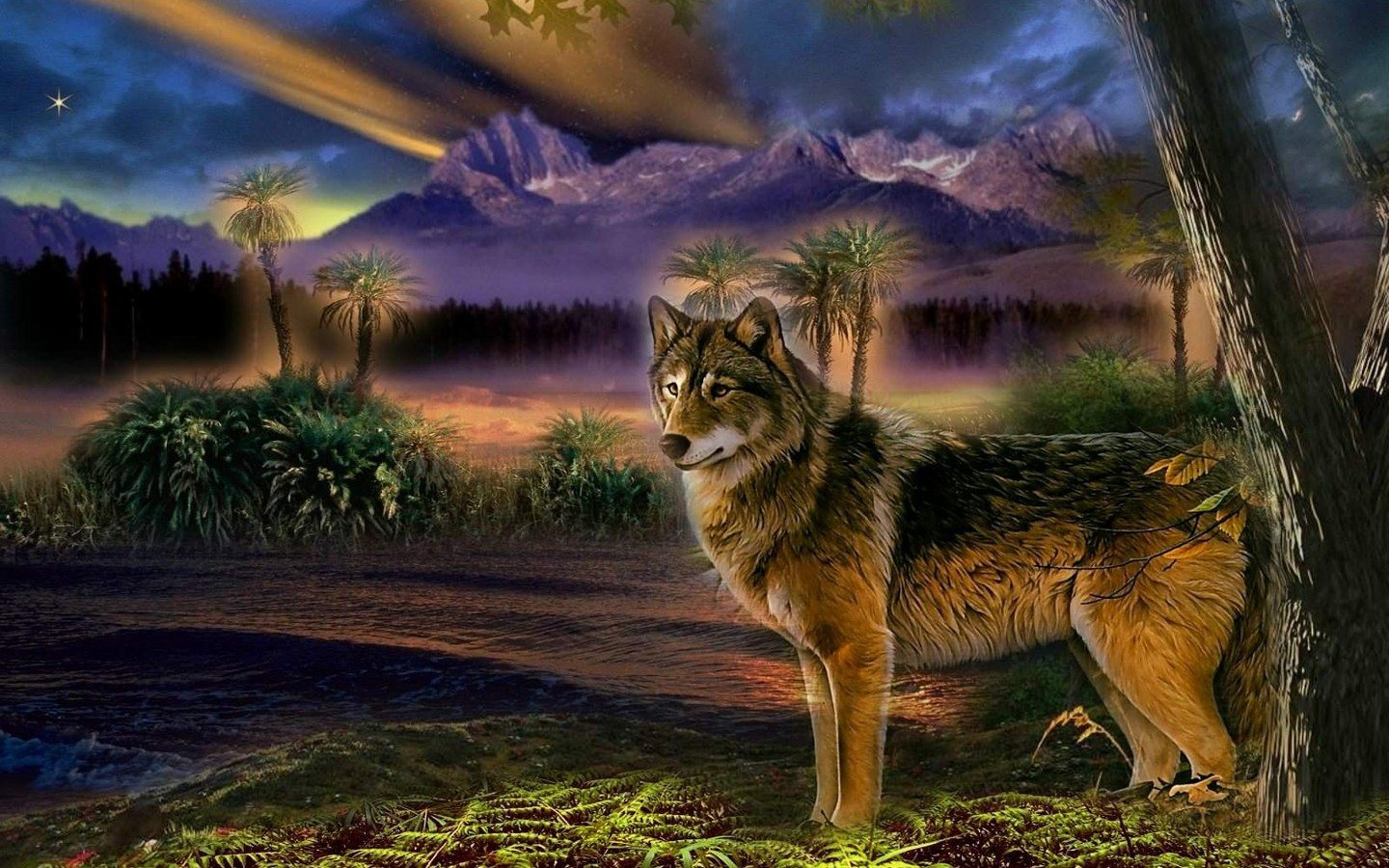 Wolf Fantasy Photo