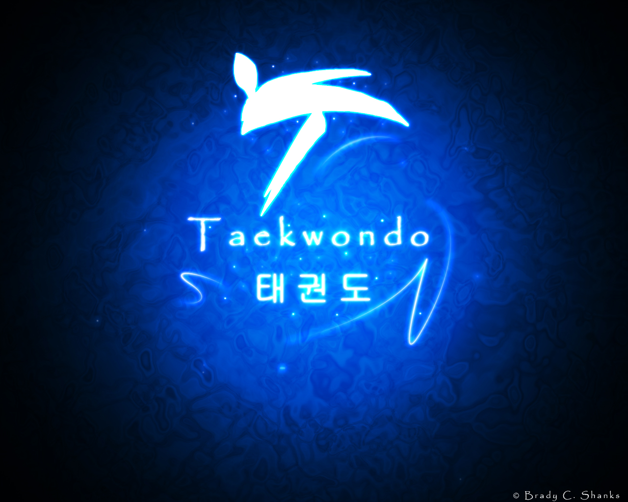 Taekwondo By Demonslayer77